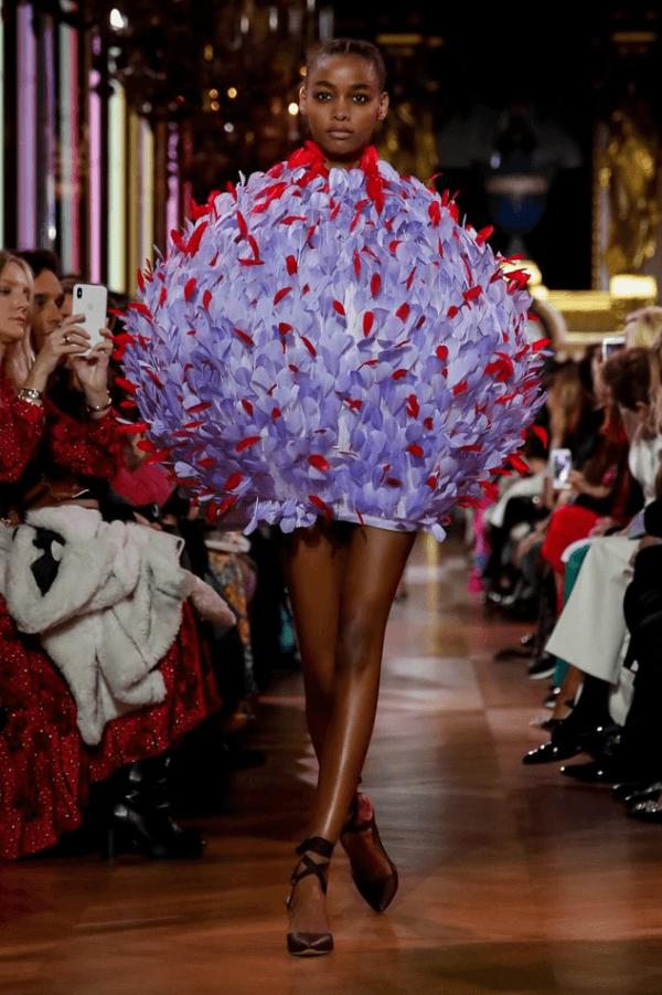 Bertrand Guyon - Schiaparelli