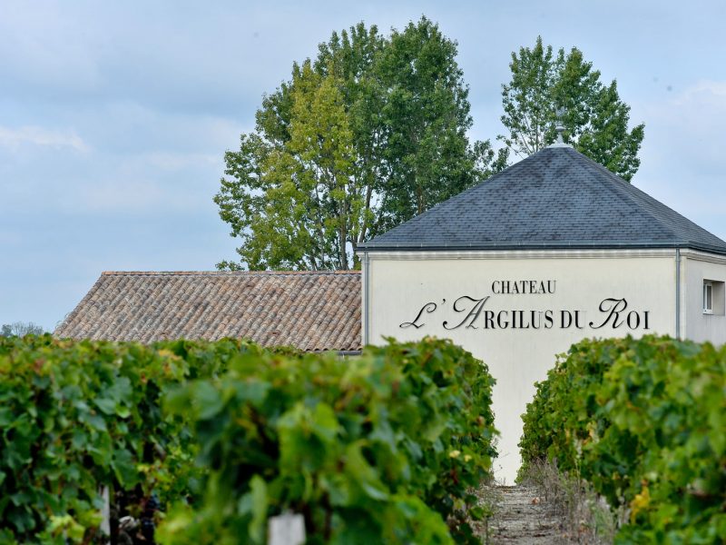 L’Argilus du Roi, une pépite au cœur de l’appellation Saint-Estèphe