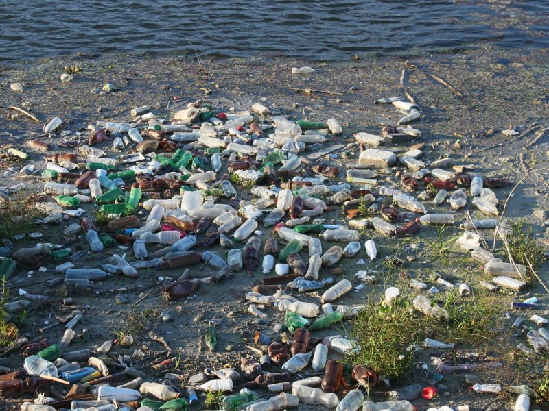 Breitling s’engage pour l’environnement et la protection des océans