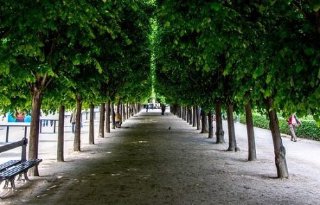 Manolo Blahnik s’installe au Palais-Royal