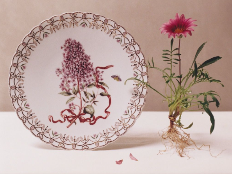 Dior Maison lance Flower Couture, un herbier précieux qui réinvente l’art de la table