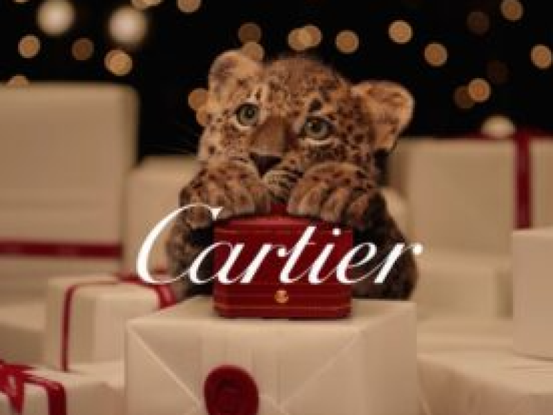 Noël du luxe | Les bébés panthères de Cartier, stars d&rsquo;une nouvelle campagne