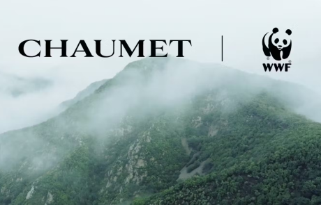 Chaumet renforce sa stratégie environnementale avec WWF