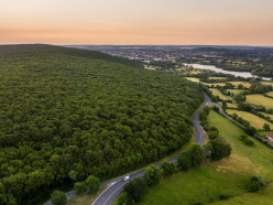 La maison Hennessy se mobilise en faveur de la biodiversité