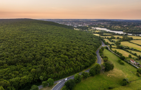 La maison Hennessy se mobilise en faveur de la biodiversité