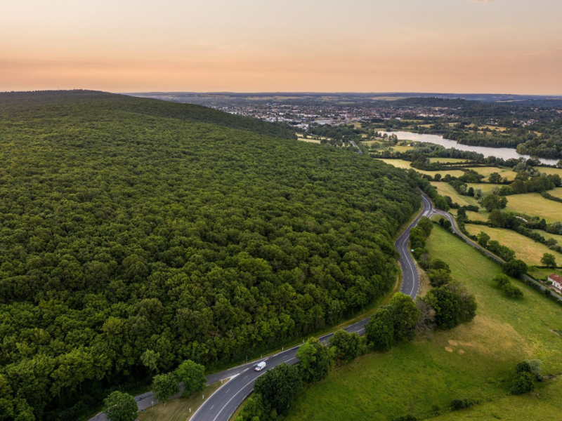 La maison Hennessy se mobilise en faveur de la biodiversité