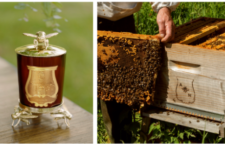Trudon renforce son engagement pour préserver l’abeille noire