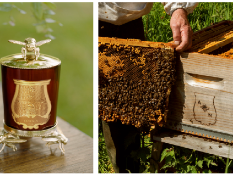 Trudon renforce son engagement pour préserver l’abeille noire