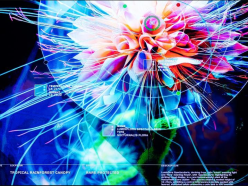 Musée Dataland : L’Oréal transforme le parfum en expérience immersive avec l&rsquo;IA