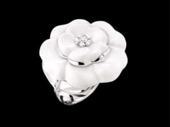Le camélia Chanel : histoire d&rsquo;une fleur devenue un code iconique de la maison