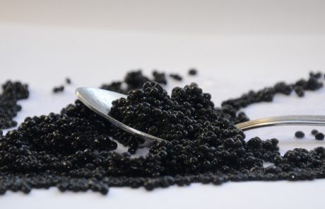 Le caviar : un produit de plus en plus accessible