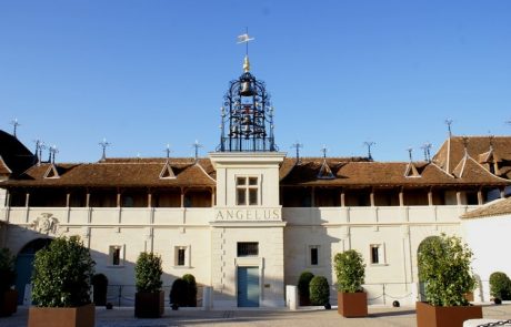 Château Angélus : un Saint-Emilion version bio