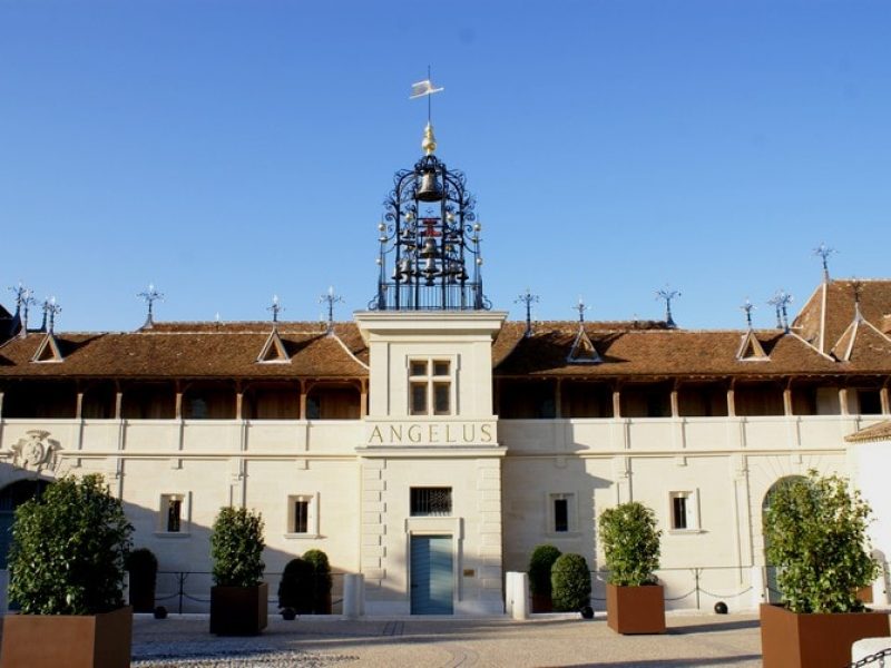 Château Angélus : un Saint-Emilion version bio