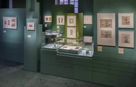 Exposition Chaumet « Dess(e)in de nature »