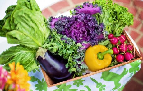 Culina Hortus : Lyon accueille un restaurant végétarien haut de gamme