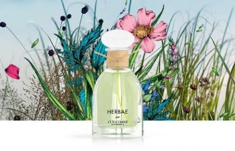 Herbae, le nouveau parfum signé L’Occitane