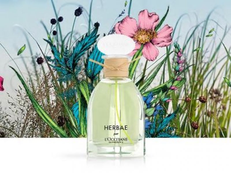 Herbae, le nouveau parfum signé L’Occitane