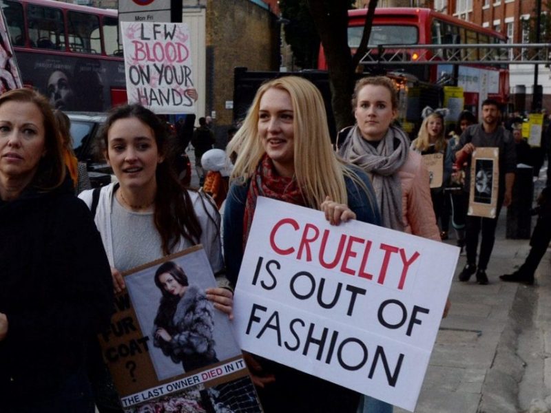 Londres interdit la fourrure pour sa prochaine fashion week