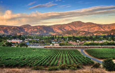 Incendies en Californie : les vignobles menacés