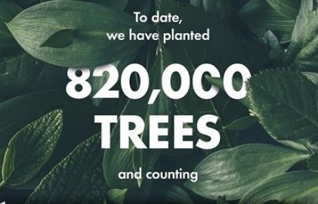 Origins célèbre les 10 ans de son programme de reforestation