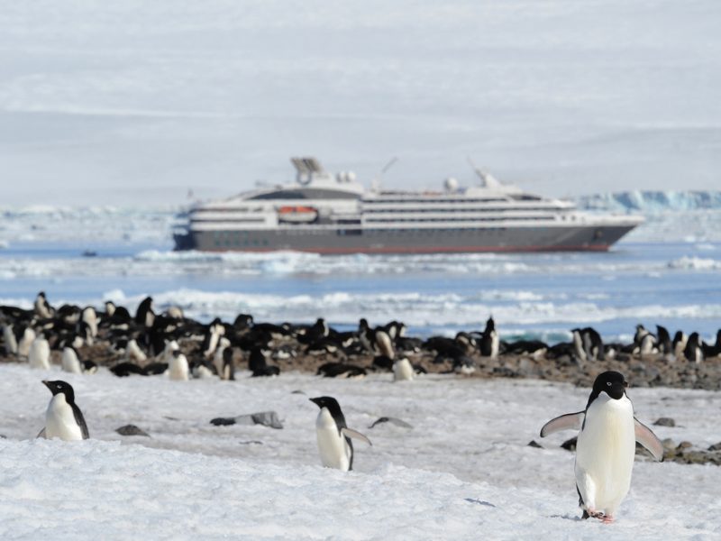 Croisières de luxe en Arctique : le prix de l’aventure