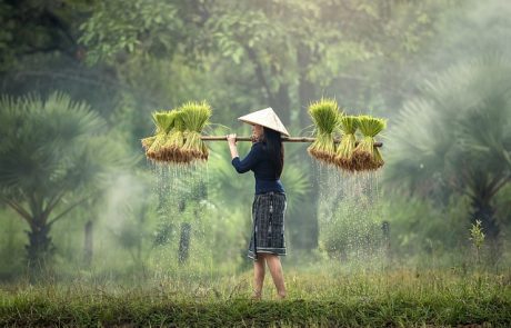 L’Union européenne et le Vietnam signent un accord visant à simplifier les échanges commerciaux