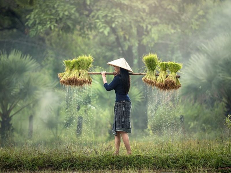 L’Union européenne et le Vietnam signent un accord visant à simplifier les échanges commerciaux