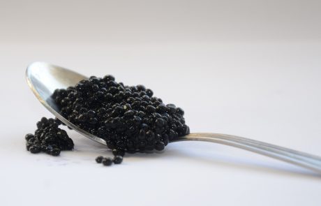 Madagascar s’invite sur le marché mondial du caviar