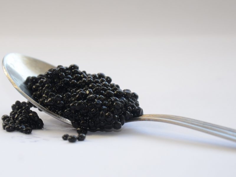 Madagascar s’invite sur le marché mondial du caviar