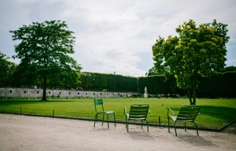 Dior s’associe au musée des Louvre pour la restauration du Jardin des Tuileries