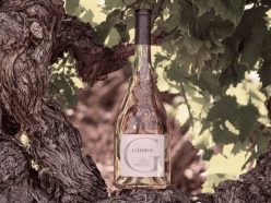 Le Garrus du domaine Château d’Esclans : un rosé d’exception